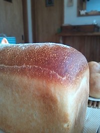 お知らせ＆焼けました〜。。。