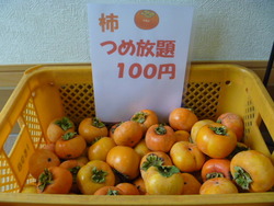 柿つめ放題１００円