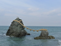 視察の帰り道