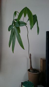 9/13