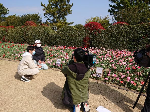 チューリップまつり７日目