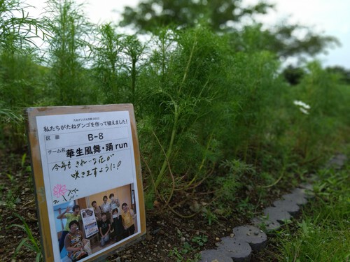 植えました看板を設置しました