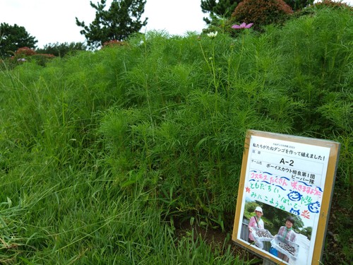 植えました看板を設置しました