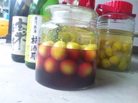 漬けてみた。