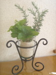 素敵な花器と植物