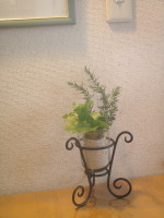 素敵な花器と植物