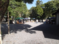 焼津神社deマルシェ　よかったです