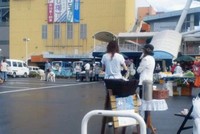 久々の晴天の休日