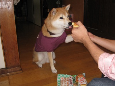 もみじ、ありがとう