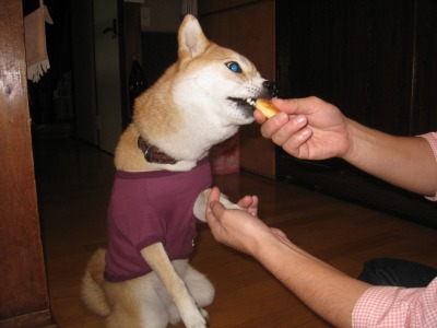もみじ、ありがとう
