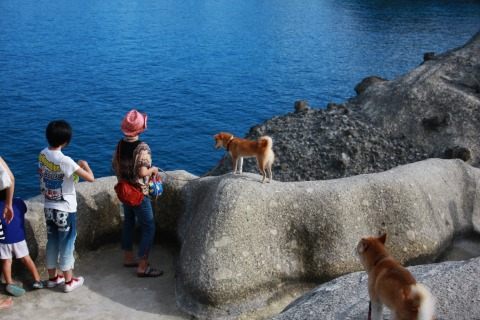 海が青いね～