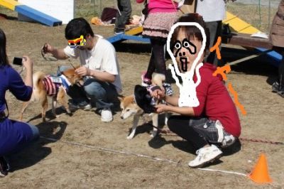 柴犬クラブオフ会in千葉・・・お絵かき必要？