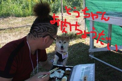 柴犬クラブオフ会in千葉・・・お腹すいた～