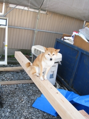いよいよ始まる