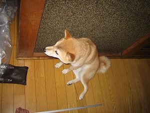 やったぁぁぁぁ～
