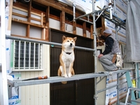 ひさびさ、もみじ監督