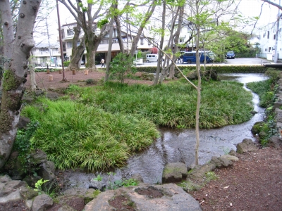 おやつとお散歩