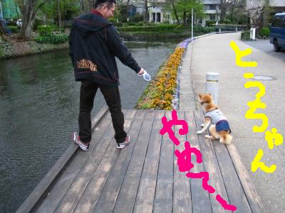 おやつとお散歩