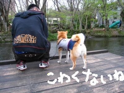 おやつとお散歩