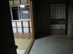 最近、ぬけないの・・・(*v.v)｡