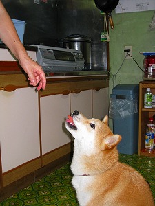 ちょうだい・・