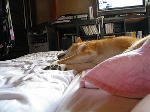 ながいよ～