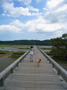 ながいよ～