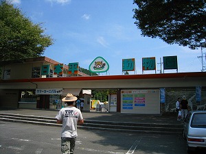 今年は色々ありました
