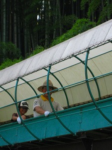 逢いたくて・・・