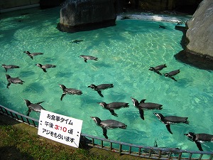 逢いたくて・・・
