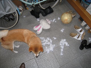 事件は玄関で起こってる～