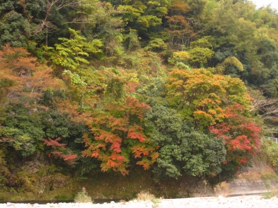 週間天気だと