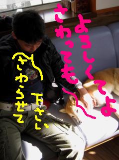 可愛い子には寄り添うの