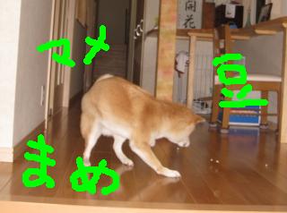 １/２神話