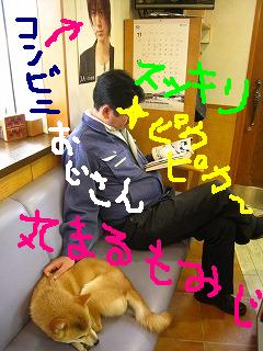 撫で撫でします(*v.v)｡
