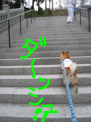 初めてのドライブ