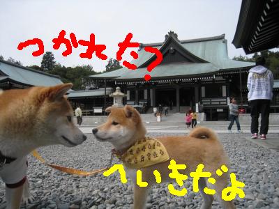 初めてのドライブ