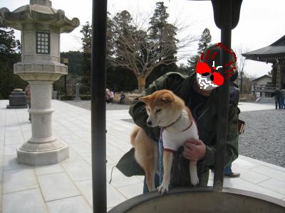初めてのドライブ