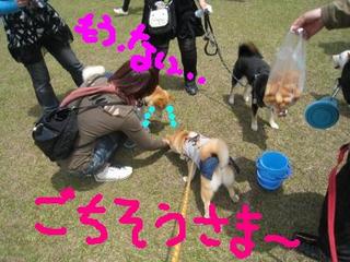 ミレー　　落穂ひろい？