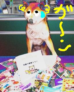 おやつがいっぱい