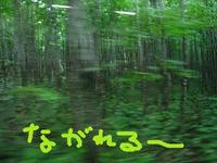 緑の中を、みちのくツアー