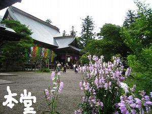 歴史の勉強、みちのくツアー