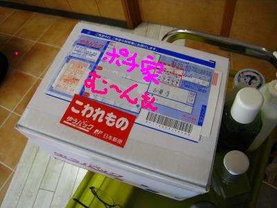 テレビと一緒