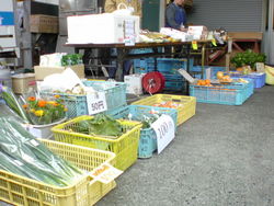 新鮮なお野菜