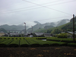 雨模様