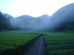 また。