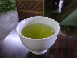東豊田共同工場の新茶