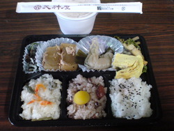 草食系？ はい！