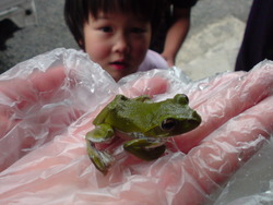 お客様