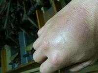 お茶摘み